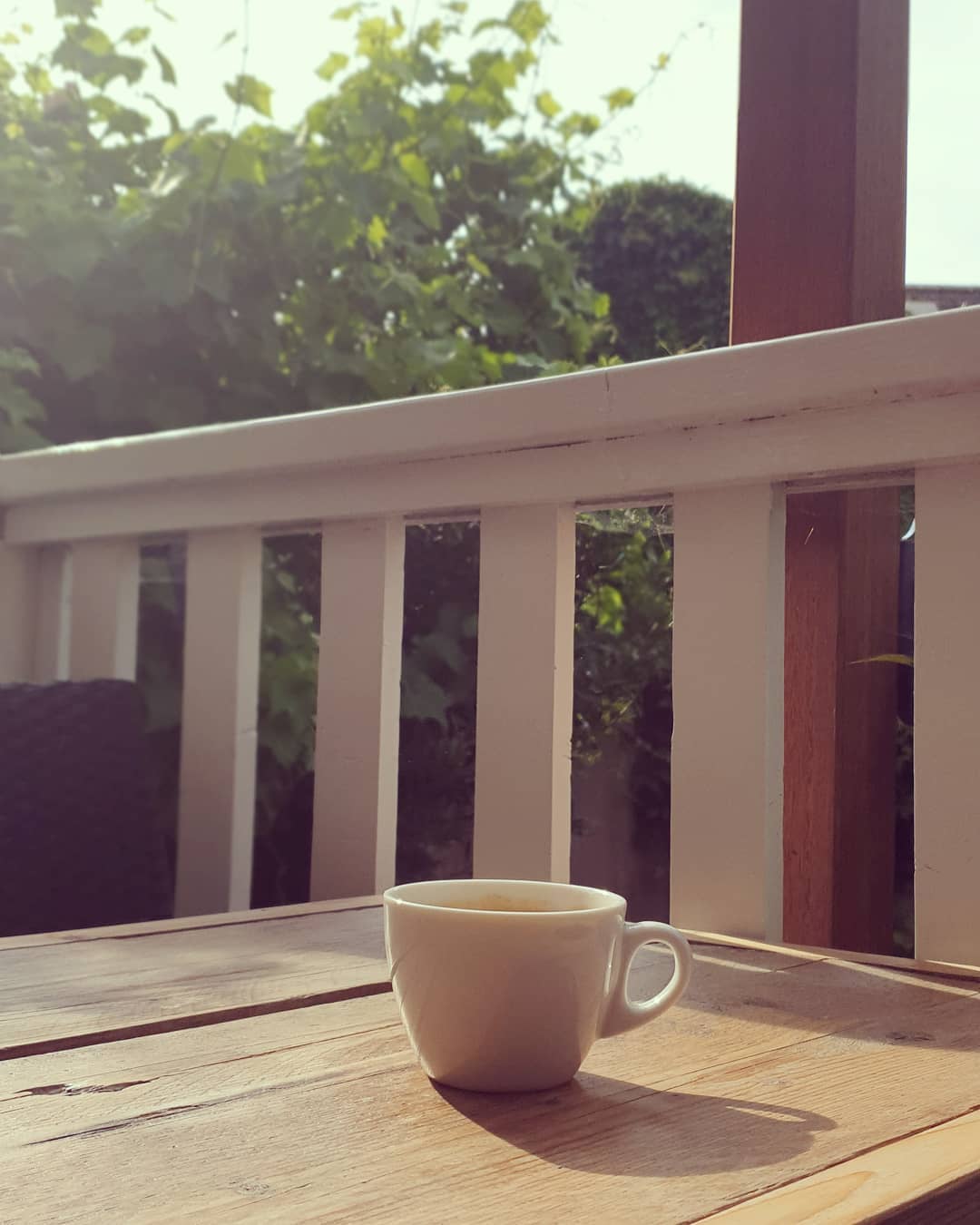 It’s the simple pleasures that make the difference. A quiet cup of @colonnacoffee in our Chapel Row garden with the scents of jasmine and lavender for company.
Here’s to another great day!
#corkagebath #garden #bath #alfresco #lunch #dinner #wine #igersbath